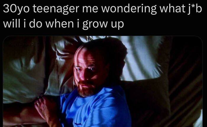 A meme of a 30-year-old teenager wondering about their future job, reflecting surprisingly honest posts.
