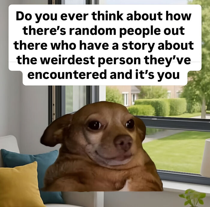 A chihuahua dog meme with an honest post asking if you're someone's weirdest encountered person.