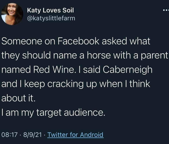 A surprisingly honest post by Katy Loves Soil on Twitter, sharing a funny horse name suggestion.