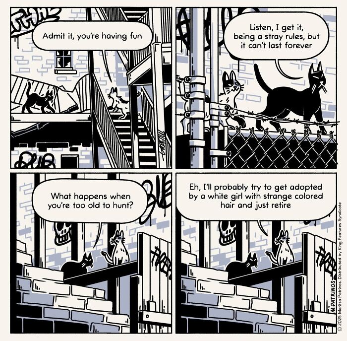 Cartoonist imagines cats with jobs, a black cat on a fence being told to admit it is having fun as a stray.