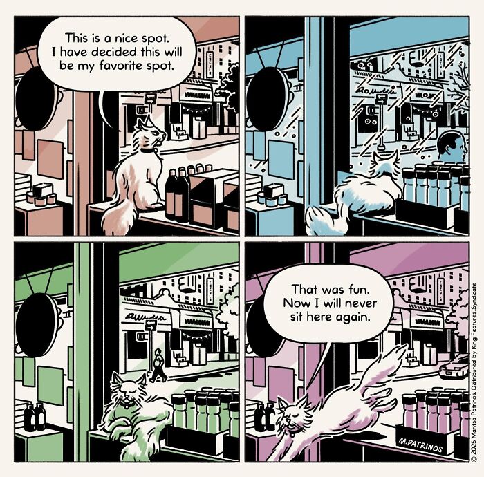 Cartoonist imagines cats with jobs: a white cat explores a new spot, then quickly decides to abandon it, jumping away.