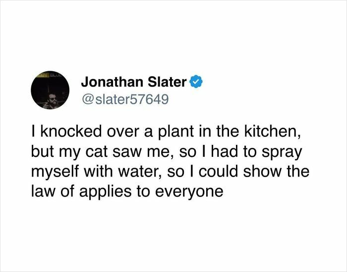 A surprisingly honest post by Jonathan Slater about spraying himself with water after his cat saw him knock over a plant.