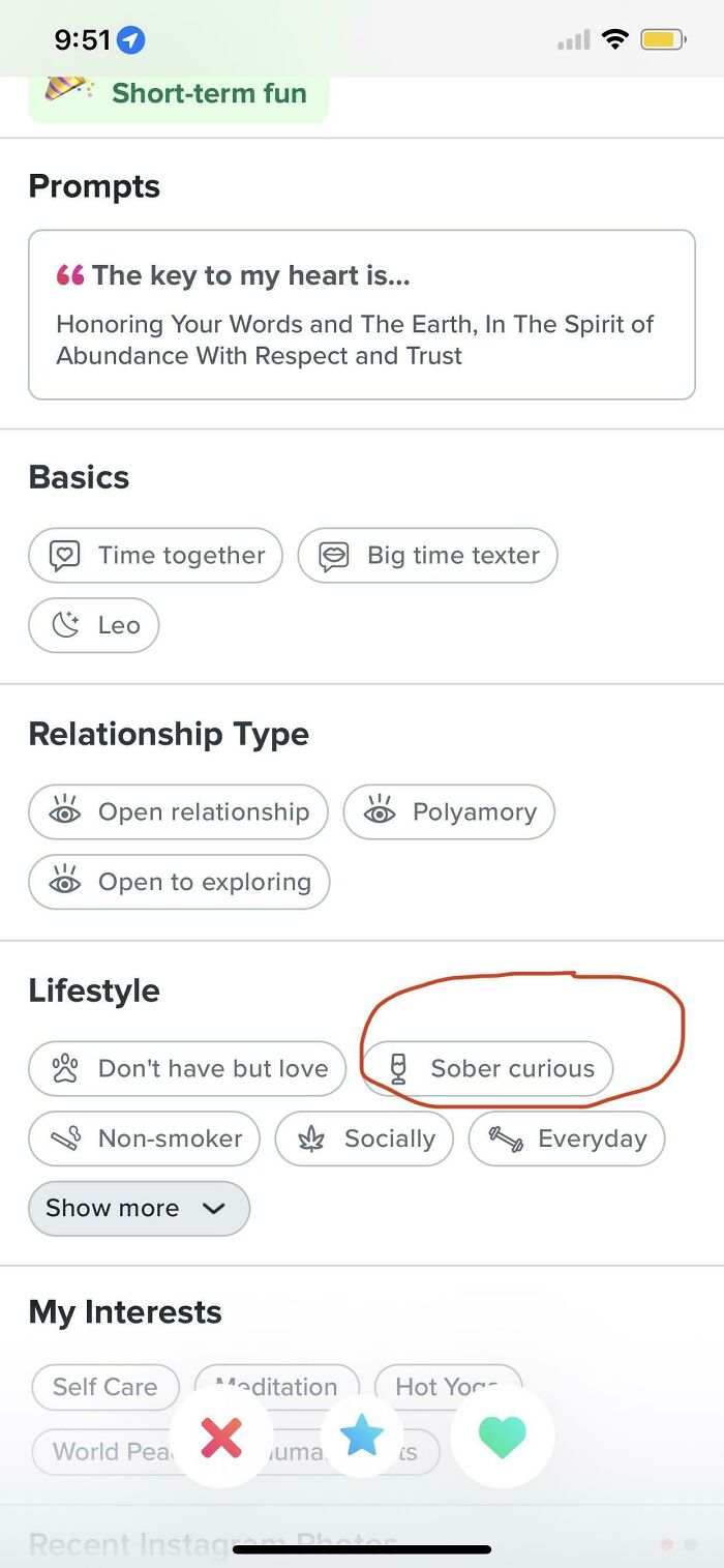 A screenshot from an online dating profile highlighting Lifestyle choices, including Sober Curious, a key keyword for online dating experiences.