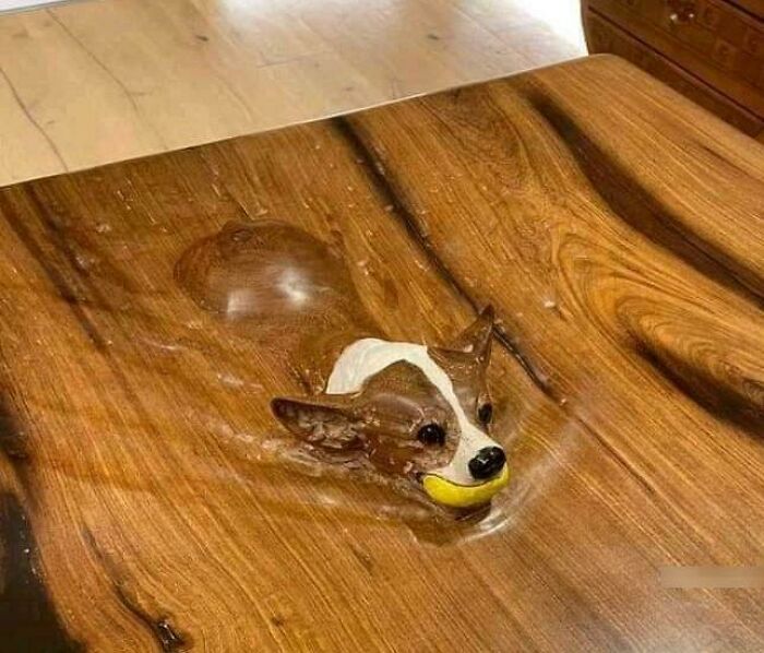 A custom wooden table features a carved indentation with a realistic dog head emerging from it, a pic people cannot explain.