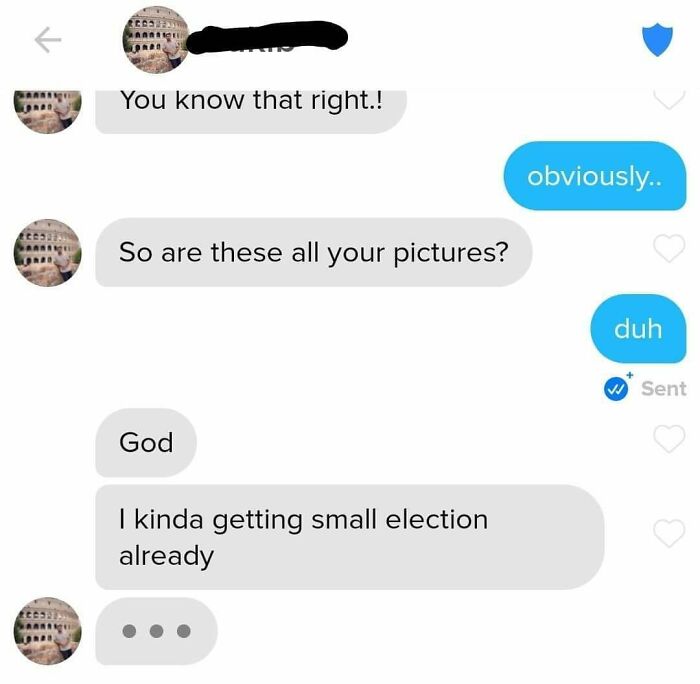 Screenshot of a cringey online dating conversation about pictures and a small election.