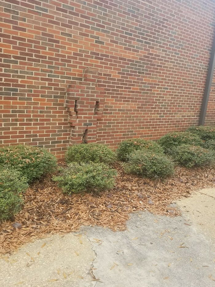 A section of a brick wall with bricks inexplicably forming the silhouette of a person, creating a bizarre and unforgettable sight.