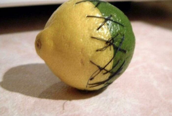 A lemon and a lime sewn together, forming a half-lemon, half-lime fruit, an unexplainable pic.