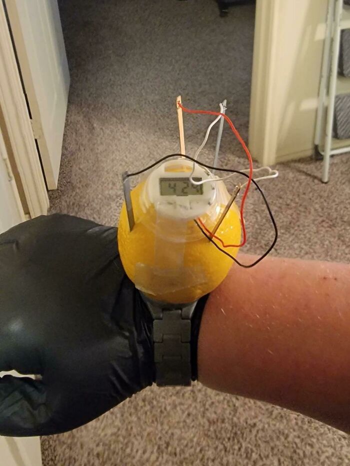 A person wearing a watch with a lemon attached, rigged with wires and a digital display, creating pics people cannot explain.