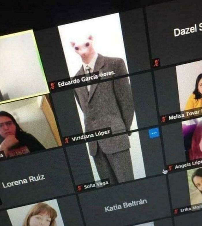 A Zoom meeting screen with multiple participants, including a large image of a hairless cat in a suit. Cannot Explain Pics.