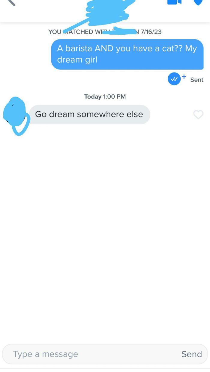 A cringey screenshot of an online dating conversation where a user gets rejected after calling someone their dream girl.