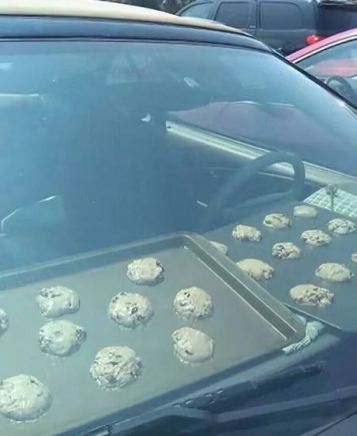 Baking sheets with uncooked cookies on the dashboard of a car, using the sun to bake, one of those pics that people cannot explain.