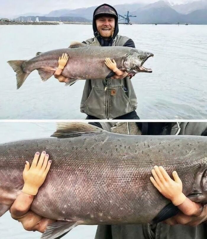 A man holding a very large fish, with small, toy-like hands seemingly gripping the fish's body. A pic people cannot explain.