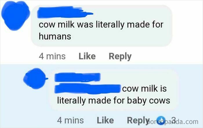 Facebook comments with people arguing about cow milk's purpose, showcasing dumb people and low IQ.