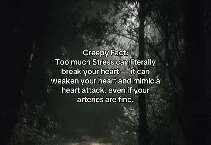 A shadowy forest path at night, with a creepy fact about stress and sleepless nights overlaying the image.