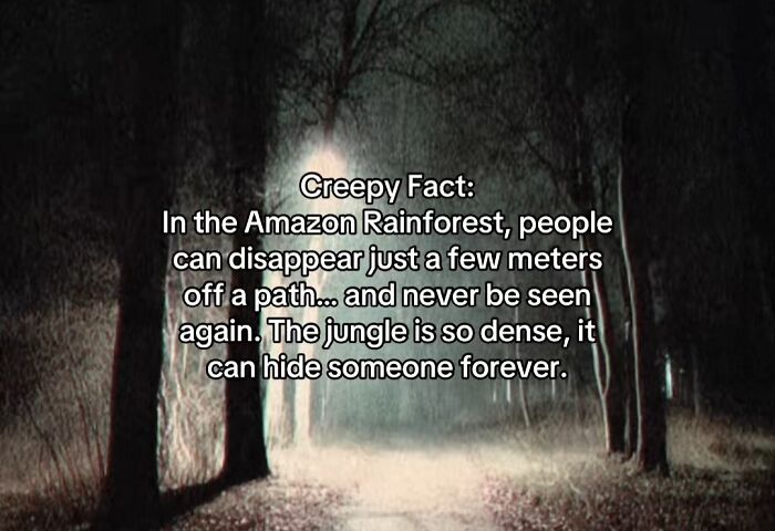 A dark, dense forest path with a creepy fact about people disappearing in the Amazon Rainforest.