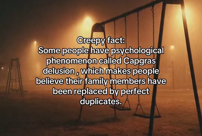 A dark, foggy playground at night with a scary fact about Capgras delusion for sleepless nights.