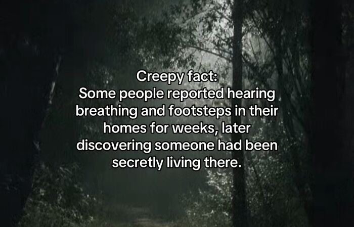 A dark, mysterious forest path at night with a creepy fact about unexplained sounds in homes.