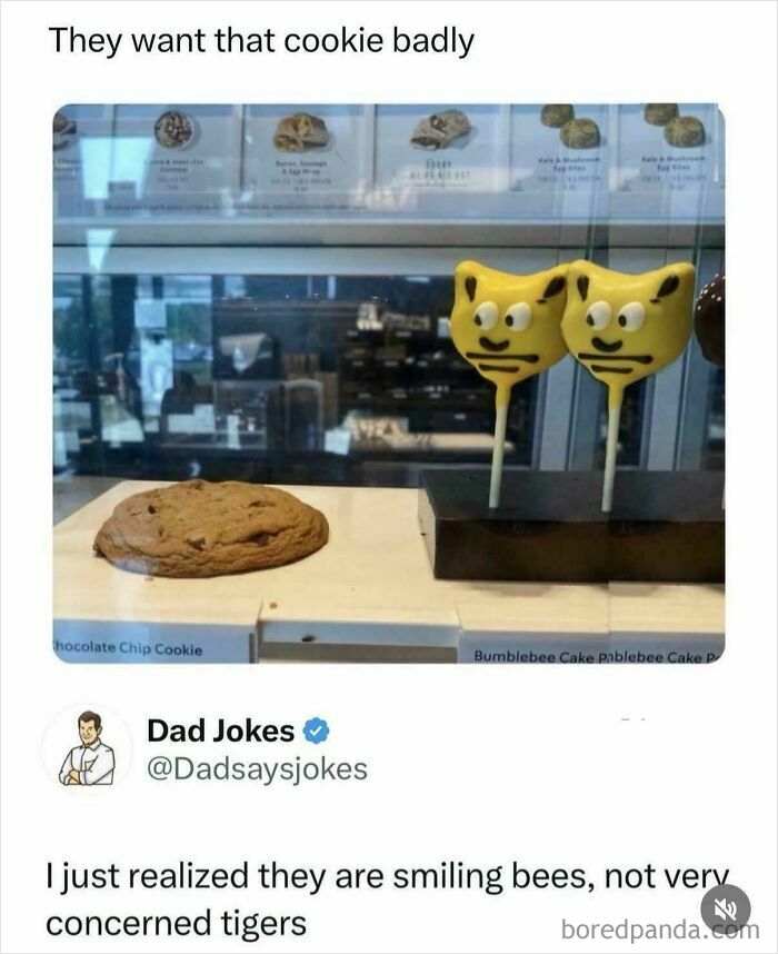 A social media post with real photos of bee-shaped cake pops eyeing a chocolate chip cookie, making you question if edited.