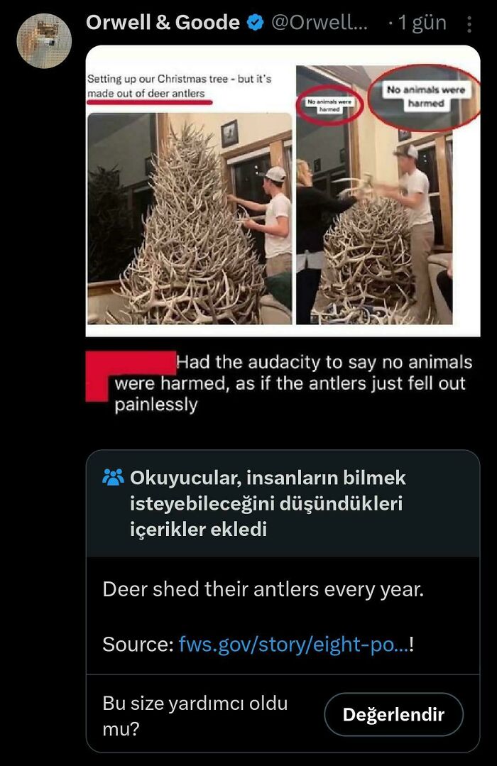 A social media post about a Christmas tree made of deer antlers, fact-checked to confirm deer shed them, showing people fact-checked.