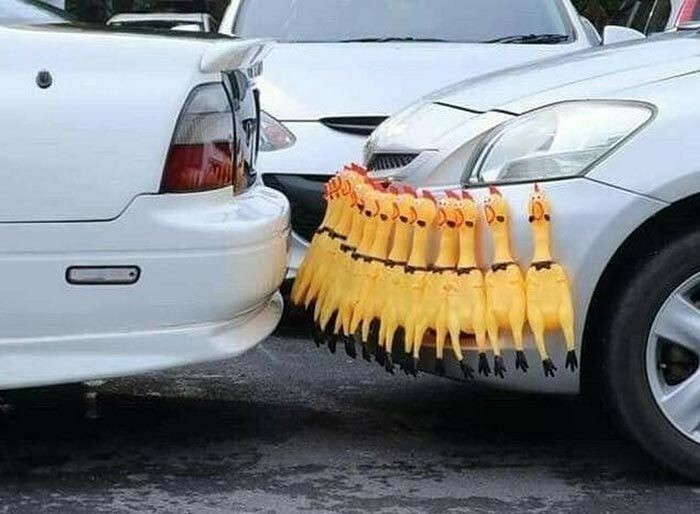 Rubber chickens between two cars illustrating a passive-aggressive response to jerk neighbors parking too close.