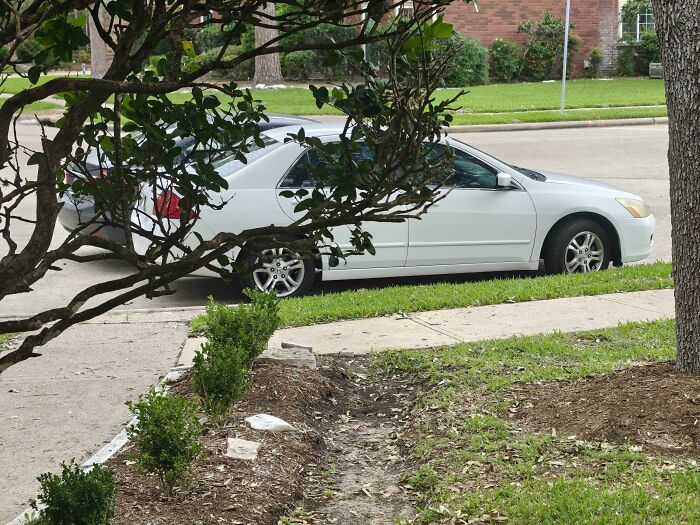 A white car parked far over the curb onto the grass, showing a lack of common sense in parking by jerk neighbors.