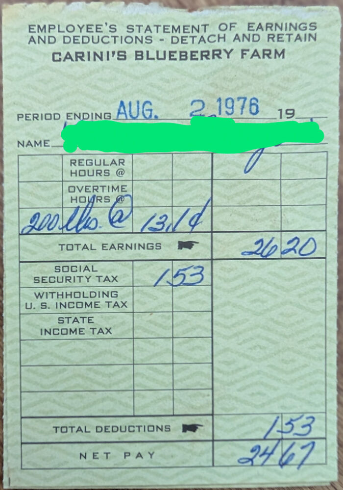 An employee earnings statement from 1976 for Carini's Blueberry Farm, demonstrating past ephemera.