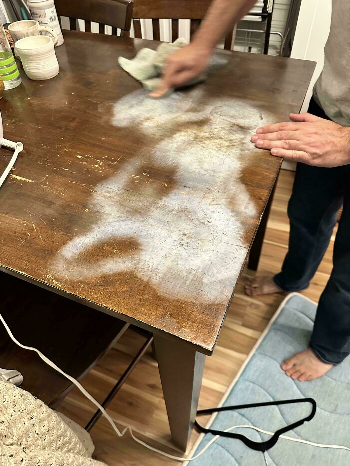 A man cleaning a white stain on a wooden table, making becoming a cat lady look attractive.