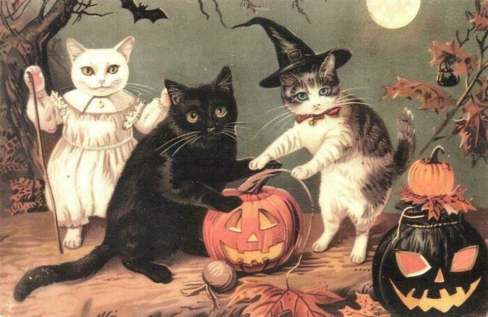An antique Halloween postcard featuring three cats in costumes and jack-o-lanterns, a fascinating piece of ephemera from the past.