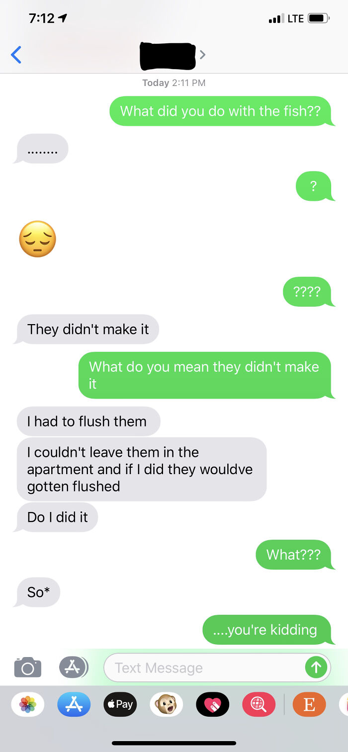 A text message conversation where someone confesses to flushing fish, highlighting why becoming a cat lady is attractive.