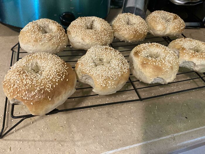 A cooling rack with several homemade bagels, one with a bite taken out, making parents think: Why Did I Sign Up For This?