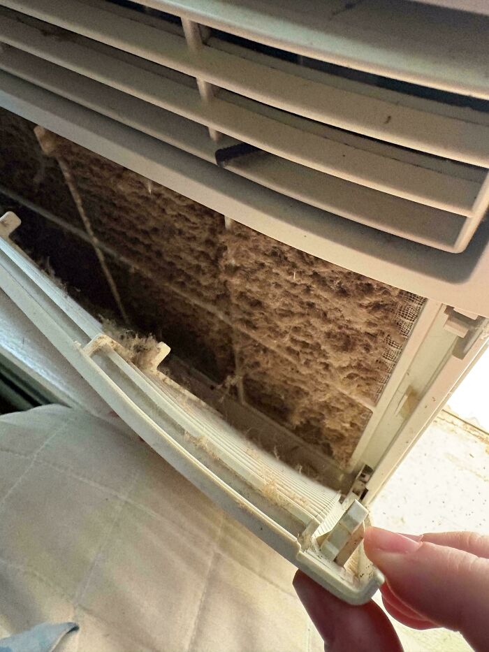 Extremely dirty air conditioner filter, making becoming a cat lady look more attractive.