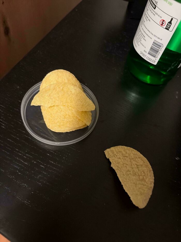 Few potato chips on a table, with one broken, making becoming a cat lady more attractive.