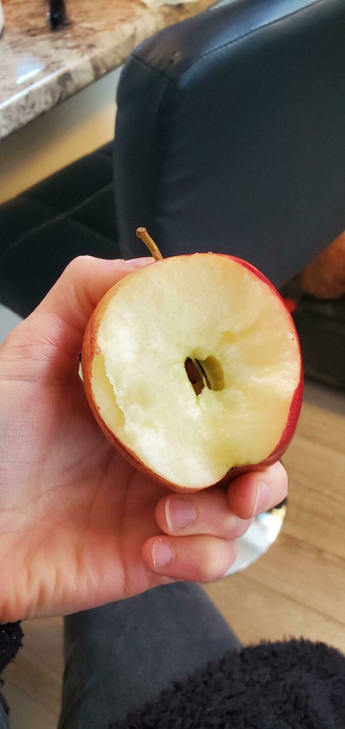 A half-eaten apple with the core ripped out by hand, making becoming a cat lady seem more attractive.