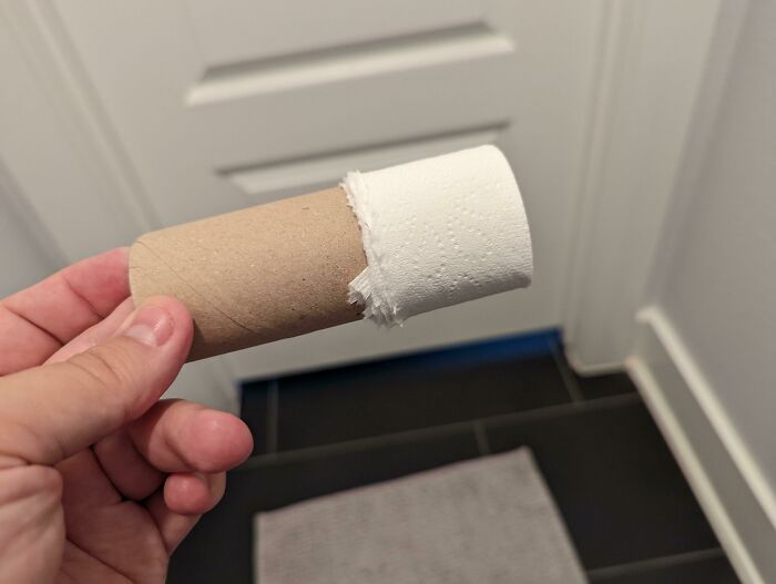 A hand holding an empty toilet paper roll, making becoming a cat lady look more attractive.