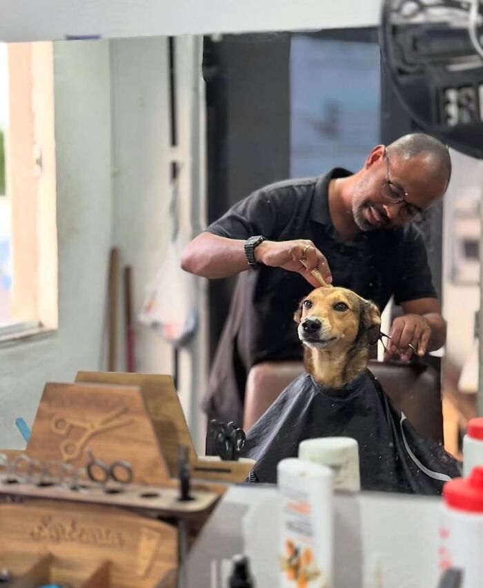 A man giving a haircut to a dog in a barbershop, reflected in a mirror, a funny and absurd dog image.