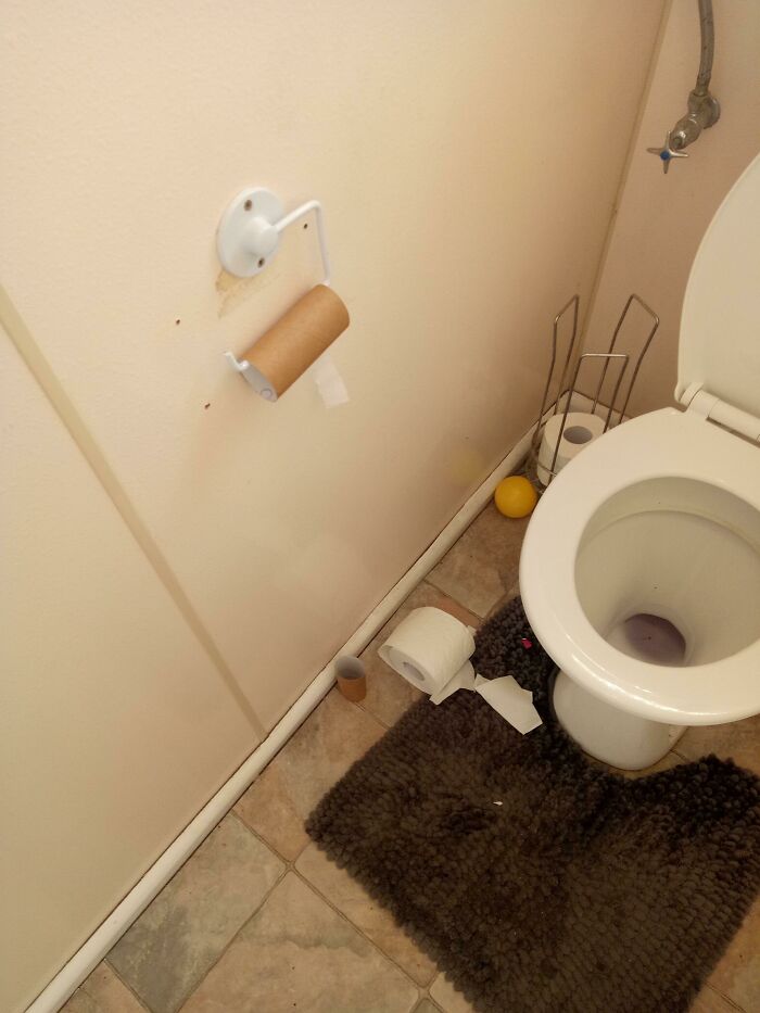 A messy bathroom with an empty toilet paper roll and a dirty floor, highlighting common relationship annoyances.