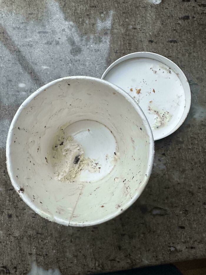 An empty ice cream container on the ground, suggesting becoming a cat lady is more attractive.