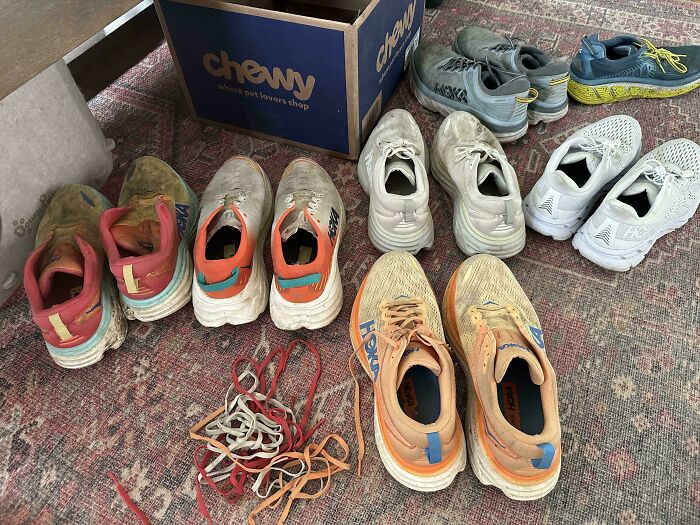 Numerous pairs of worn running shoes on a rug, making becoming a cat lady look more attractive.