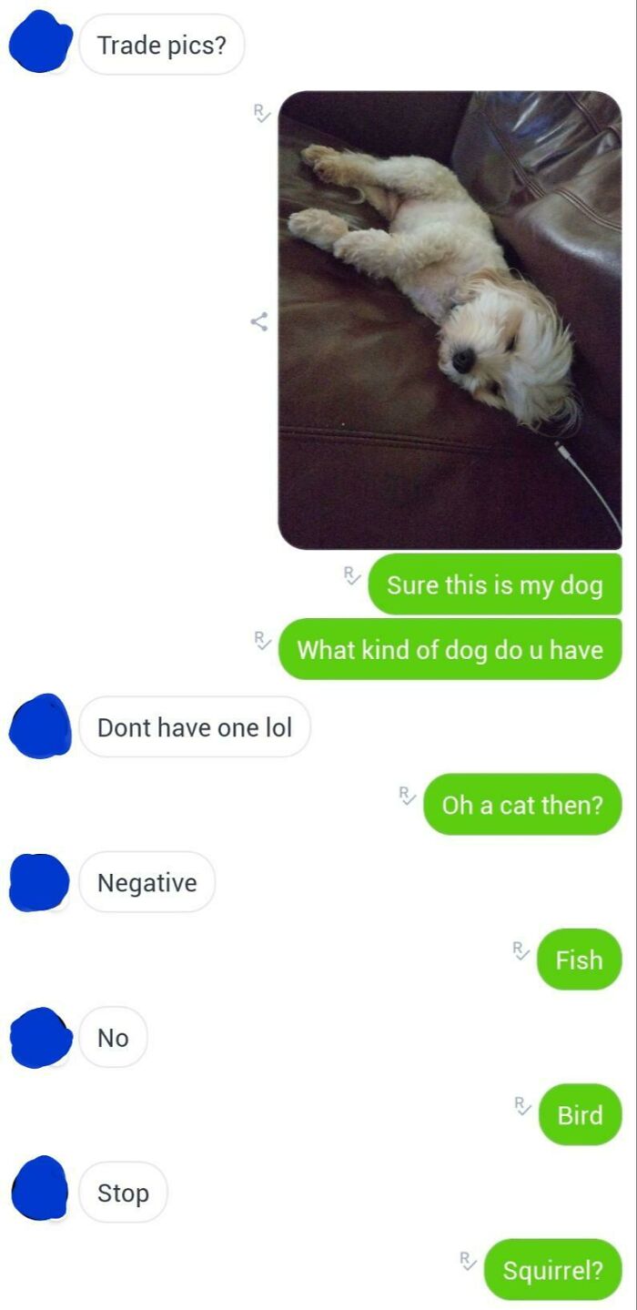 A Ruthless Woman silences a Creepy Man by sending a picture of a dog when asked to "trade pics" and then listing other animals.