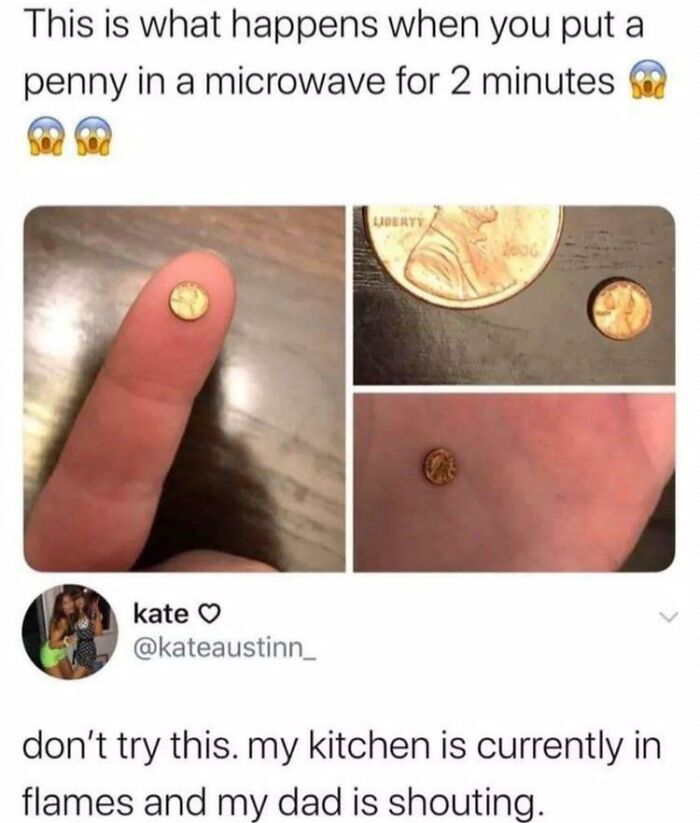 A tiny penny microwaved by parents, showing the unexpected result, leaving them thinking: Why Did I Sign Up For This?