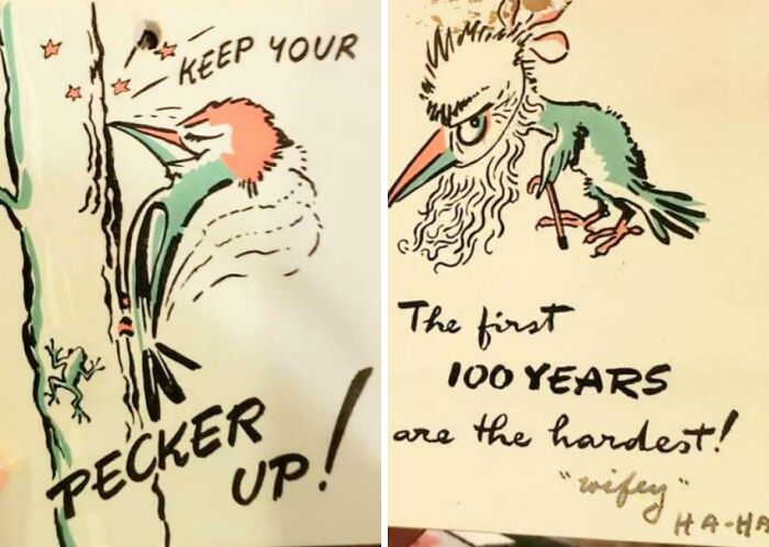 Two humorous vintage postcards with bird illustrations, showcasing fascinating pieces of ephemera from the past.