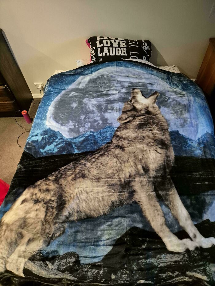 A bed in a male living space with a wolf howling at the moon blanket and a pillow that says LOVE LAUGH.