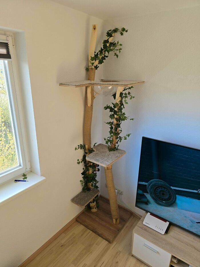 A DIY home project: a tall, multi-platform cat tree with faux ivy, next to a window and TV.