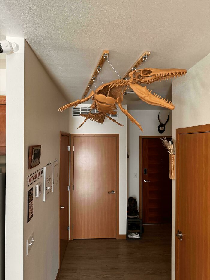 An entryway in a male living space with a large, hanging dinosaur skeleton model and a wall decorated with various items.
