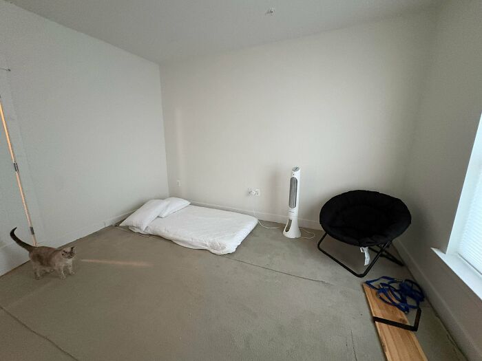 A minimalist male living space with a low mattress on the floor, a single black chair, and a cat.
