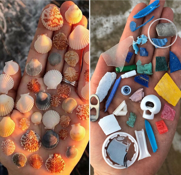 A hand holding seashells on one side and a collection of plastic trash on the other, showing what takes over.