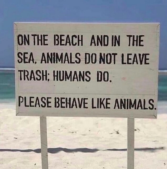A sign on a beach reminding humans not to leave trash, suggesting that people take over the world by being cleaner.