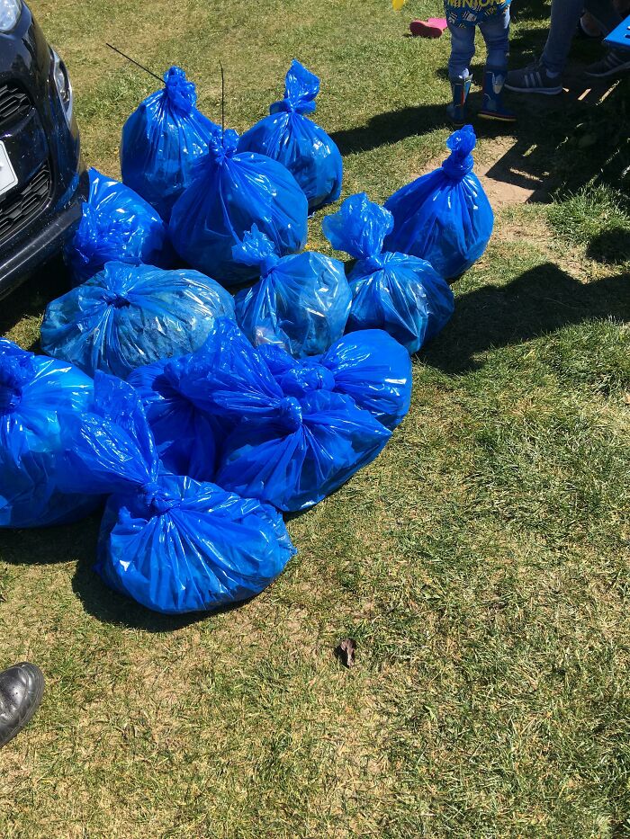 Blue trash bags on grass, showing trash collection.