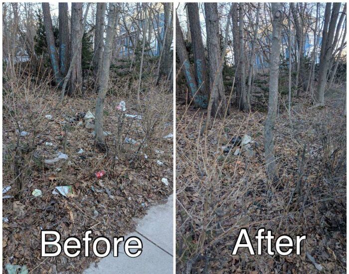 Before and after images of a wooded area, showing trash removed and the area cleaned.