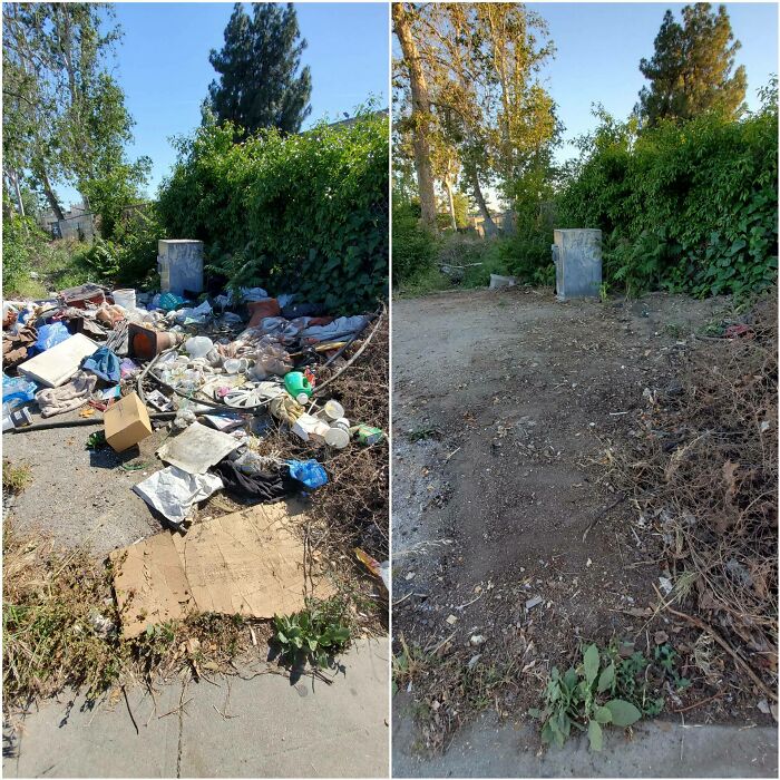 Before and after images of a roadside, showing a large pile of trash removed, demonstrating trash taking over the world.